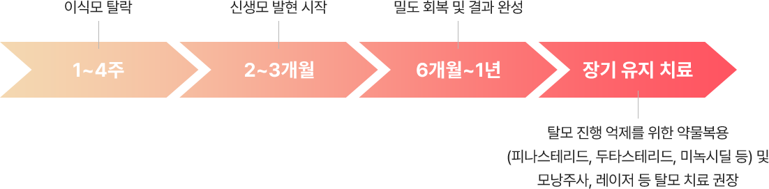 1~4주(이식모 탈락) > 2~3개월(신생모 발현 시작) > 6개월~1년(밀도 회복 및 결과 완성) > 장기 유지 치료(탈모 진행 억제를 위한 약물복용(피나스테리드, 두타스테리드, 미녹시딜 등) 및 모낭주사, 레이저 등 탈모 치료 권장)